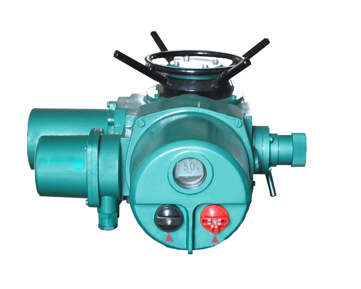 DZW45-24Z 開(kāi)關(guān)型電動(dòng)執行機構