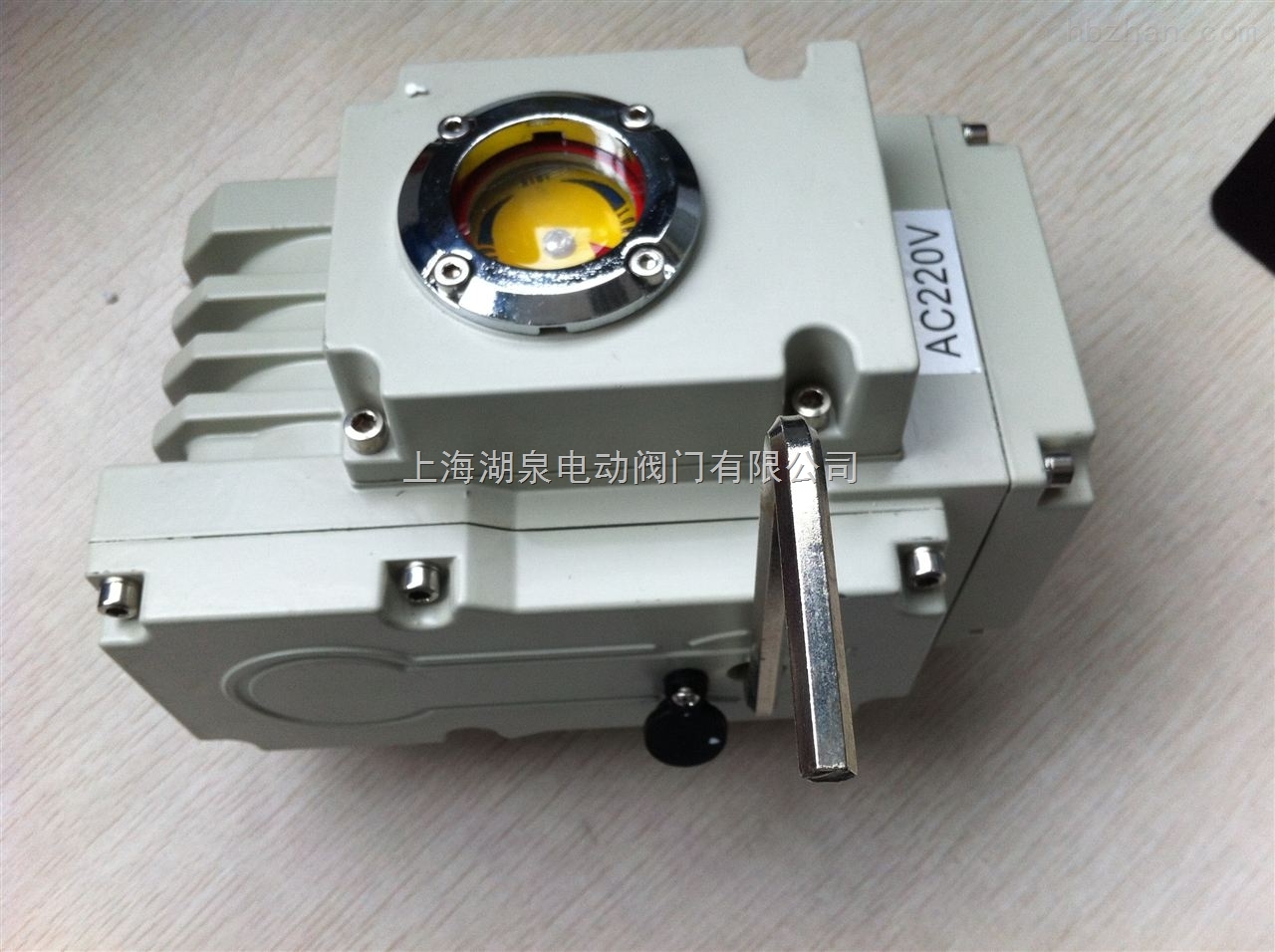 220V精小型電動(dòng)執行器