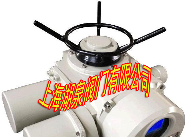 多回轉防爆閥門(mén)電裝
