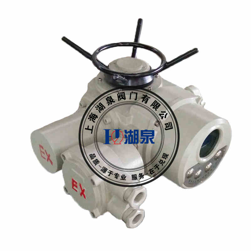 閥門(mén)電動(dòng)執行器