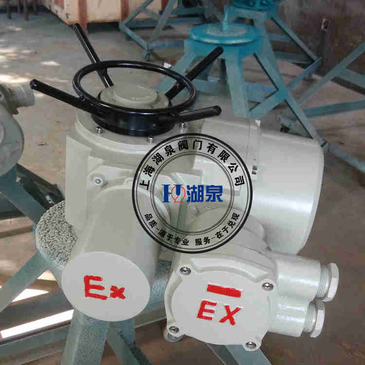 防爆智能開(kāi)關(guān)型電動(dòng)執行器