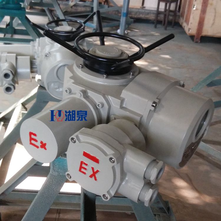 多回轉電動(dòng)執行器