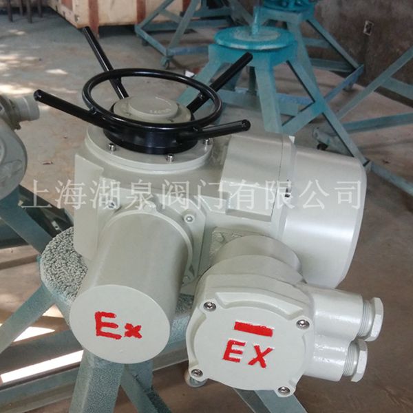 電動(dòng)執行器