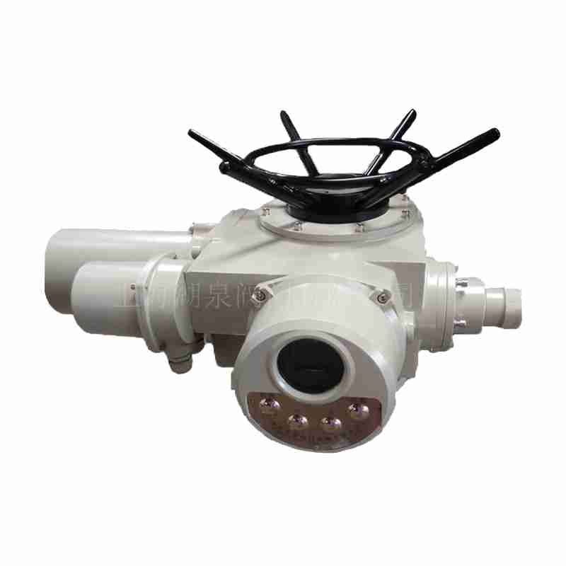 多回轉電動(dòng)執行器