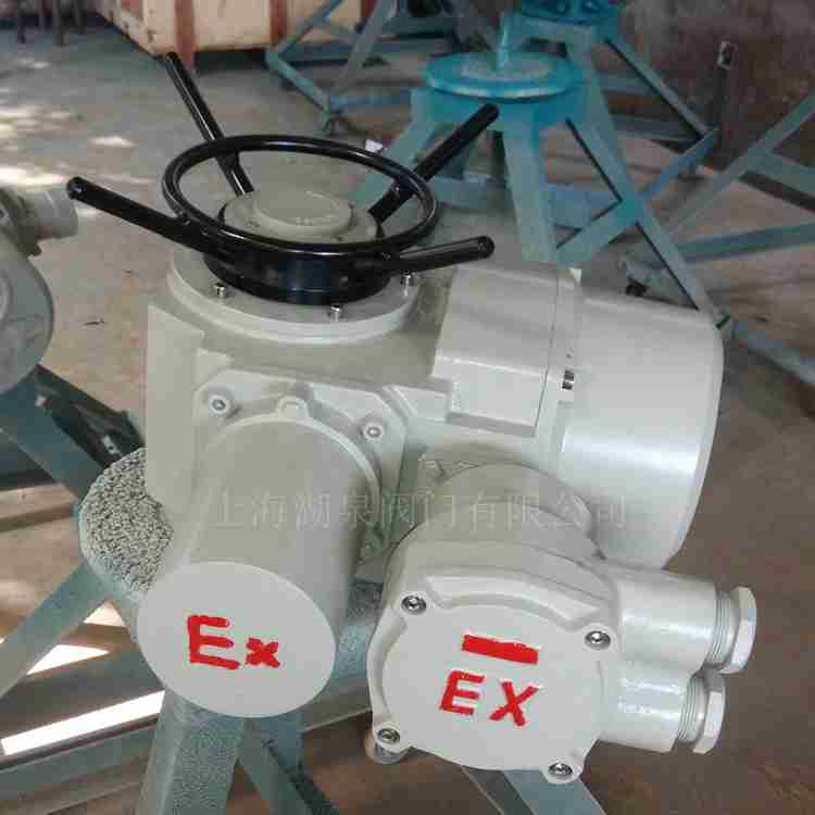 dzw120電動(dòng)執行器