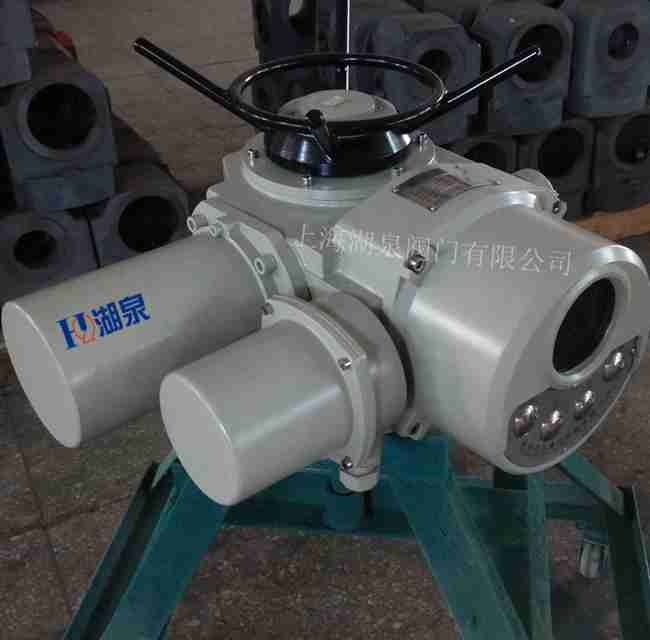 多回轉電動(dòng)執行機構dzw10