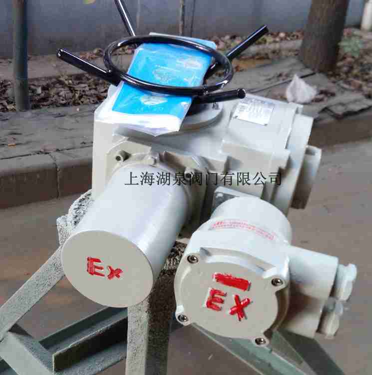 防爆電動(dòng)閥門(mén)執行器