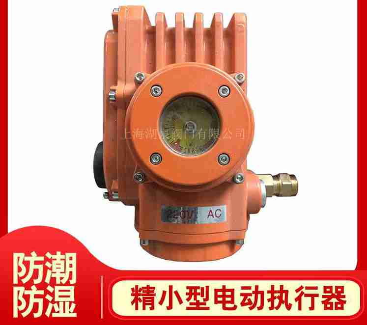 精小型電動(dòng)執行器