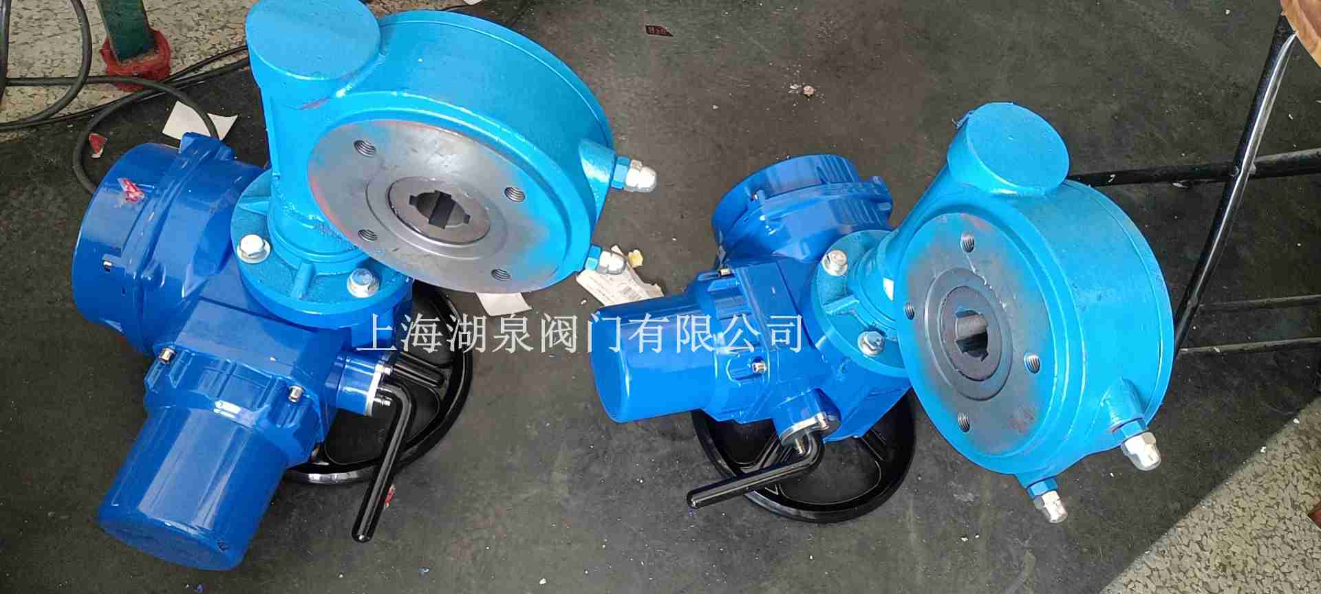 推力型電動(dòng)執行器