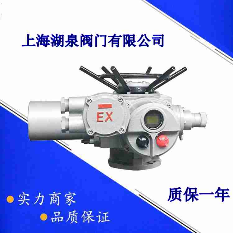 電動(dòng)執行器