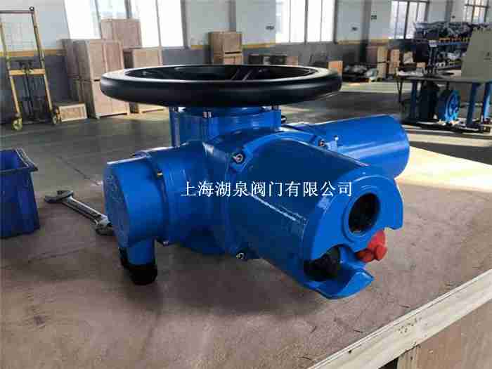 dzw45-24w電動(dòng)執行器生產(chǎn)廠(chǎng)家