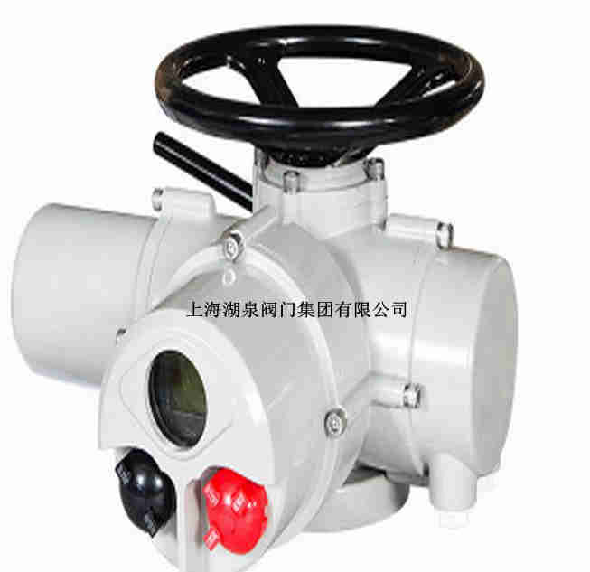 DZW30-18電動(dòng)執行器