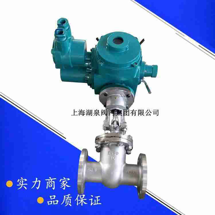 dn80電動(dòng)閘閥執行器