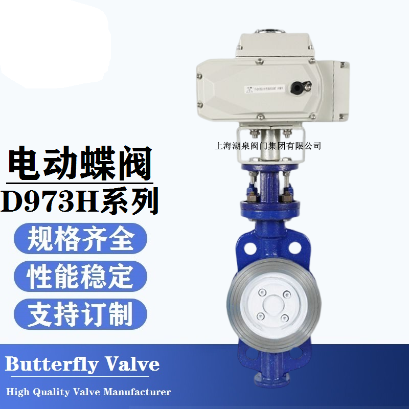 電動(dòng)蝶閥廠(chǎng)家價(jià)格D973H-16C dn300
