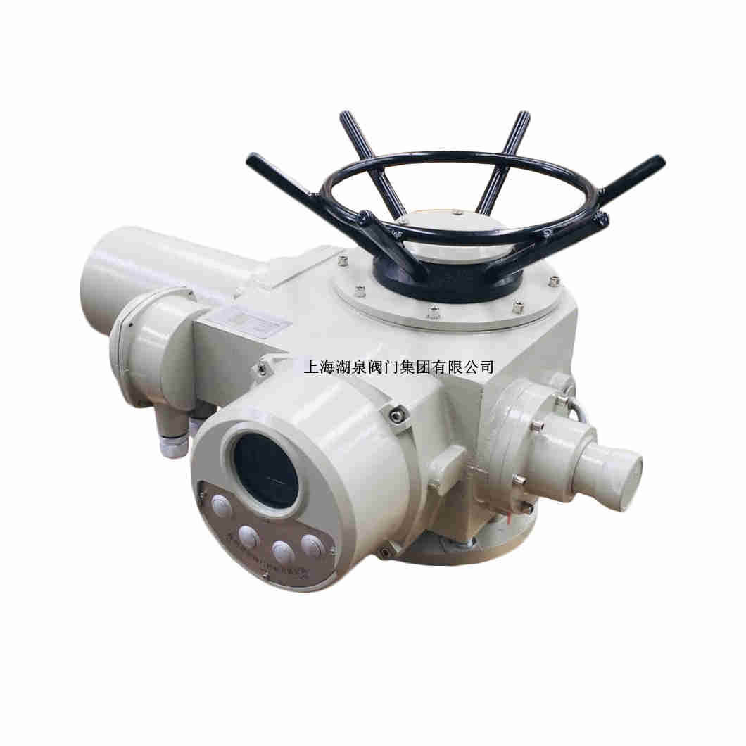電動(dòng)執行器