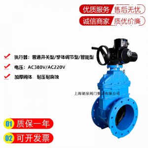 電動(dòng)閘閥Z945X一16 DN200型號參數選型