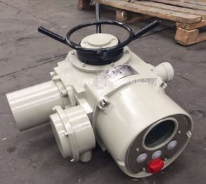 智能調節型閥門(mén)電動(dòng)裝置DZW90-24T