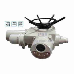 電動(dòng)閘閥DZW30-18W執行器（廠(chǎng)家哪家好）