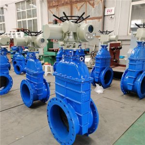 電動(dòng)閘閥Z941h -64 DN500（石化行業(yè)、煉油廠(chǎng)