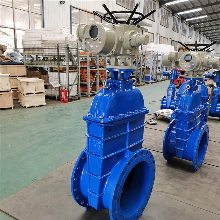 電動(dòng)閘閥Z941h -64 DN500（石化行業(yè)、煉油廠(chǎng)、化工廠(chǎng)）