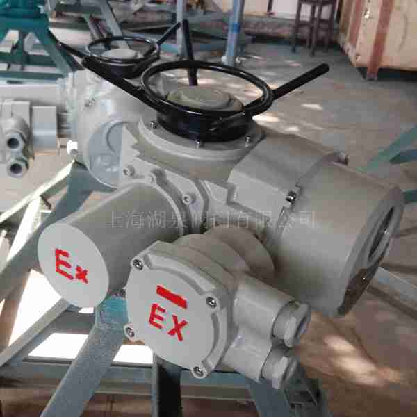 dzw120電動(dòng)執行器